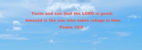 Chicken and Dumpling Casserole