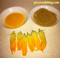 zucchini set up
