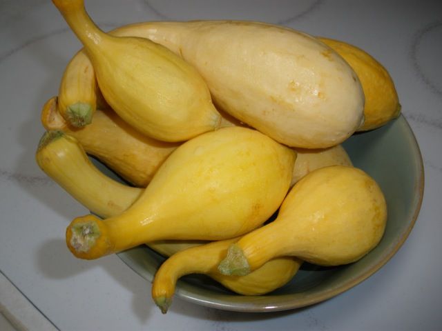 Got Squash?  Fast and Easy Yellow Neck Squash Side Dish