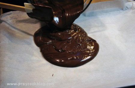 chocolate bark