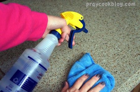 The Very Best All Purpose Cleaner