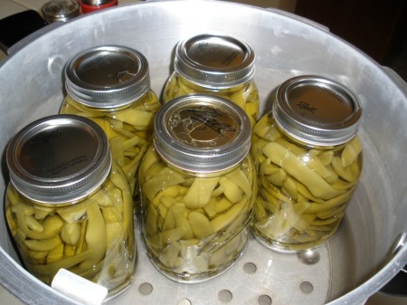 Canning Romano Beans - Pray Cook Blog