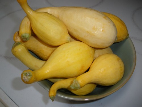 Squash