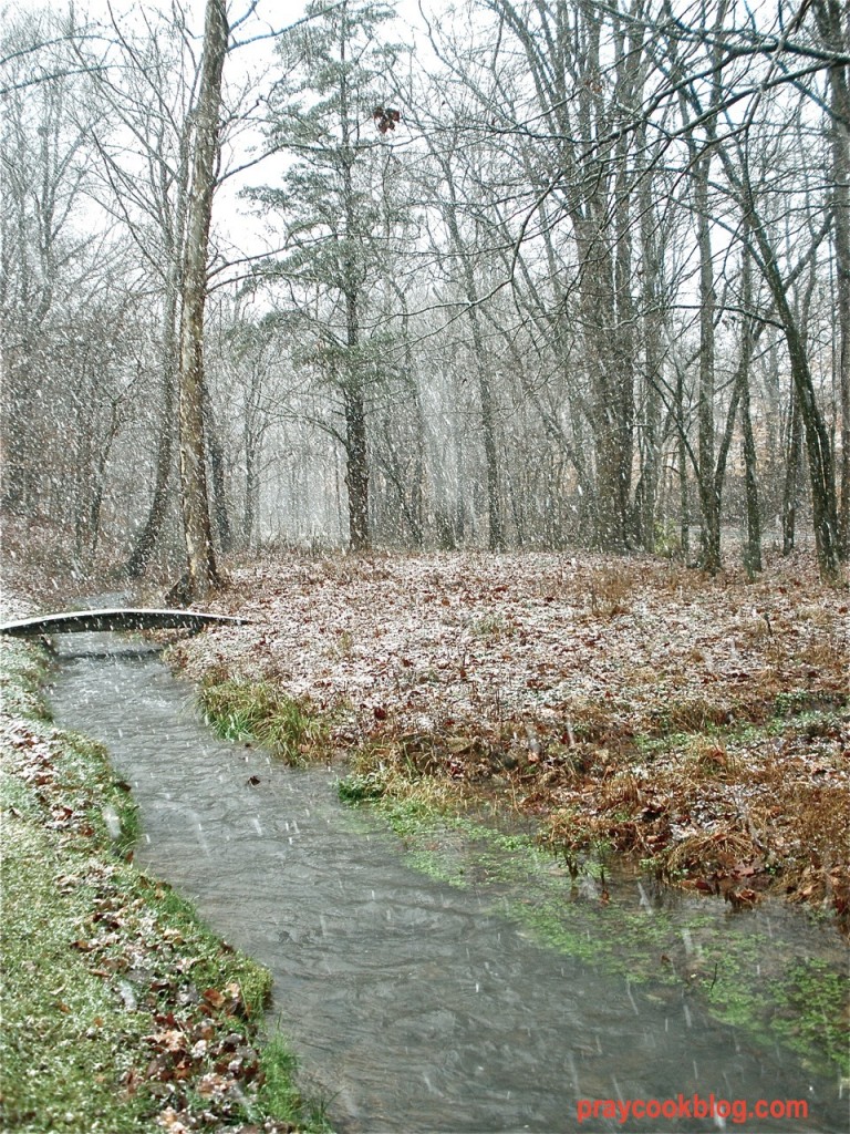 Gently falling snow