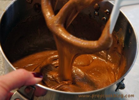 pb fudge mixed