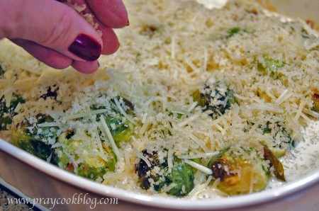 Sprouts gratin cheese