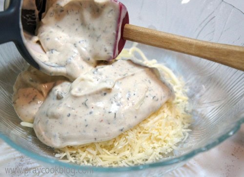 garlic parm chk sauce