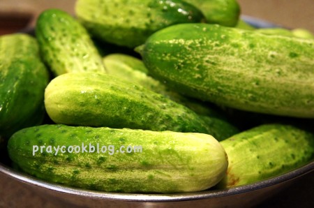 Dish of Cucumbers