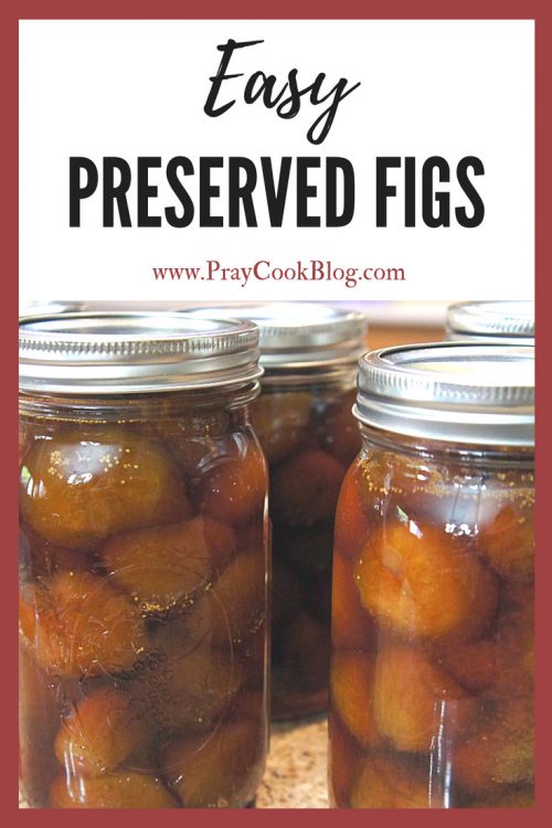 best preserved figs