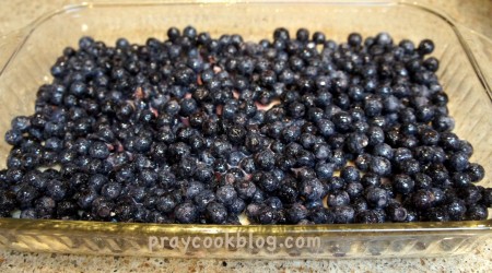 blueberries layered