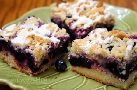 blueberry bars upclose