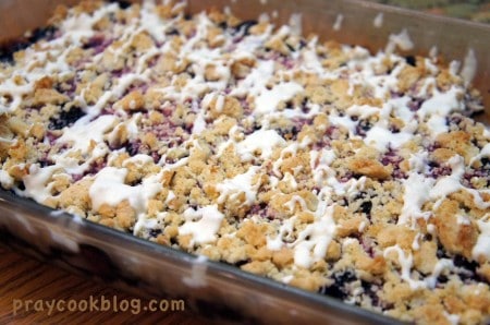 blueberry crumb panfull