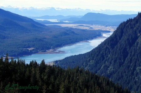 View from mount roberts