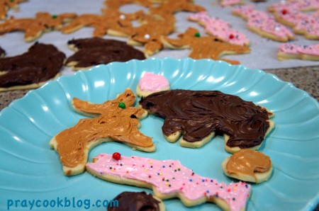 moose bear salmon cookies