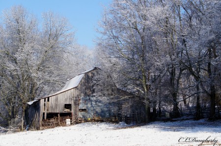 Denny's Snowy Barn