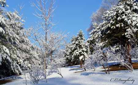 Snowy Blue Sky