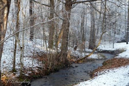 Sunny Snowy Creekside