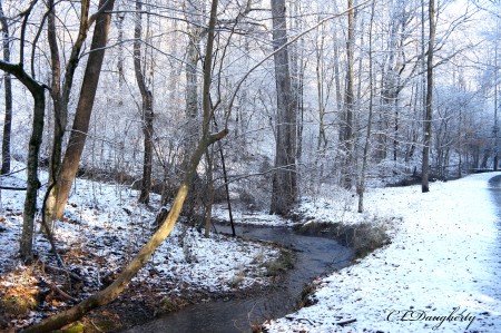 Winding Snowy Creek