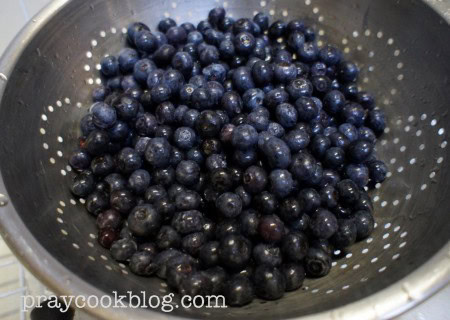 Fresh Blueberries