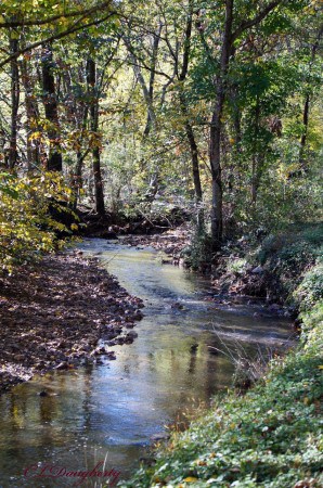 As the creek winds