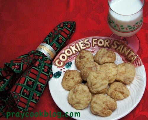 snicker-doodle-plated-down