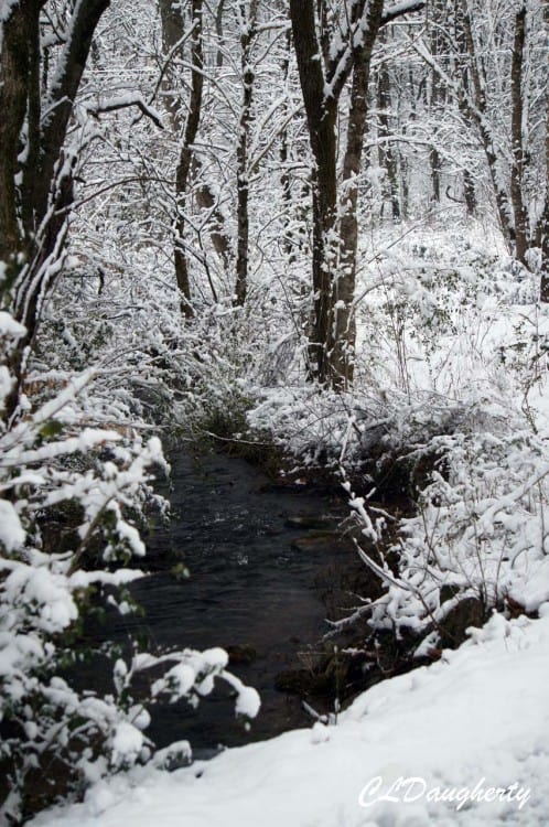 Snowy creek