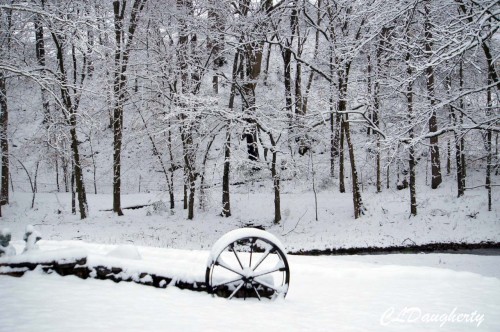 wagon snow trees