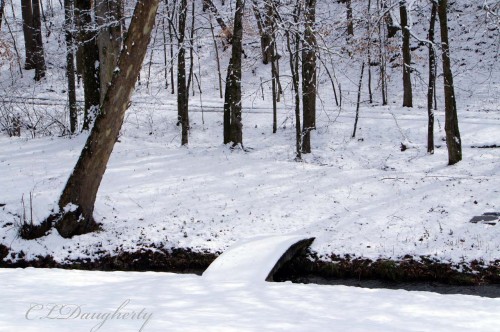 2nd snow front yard