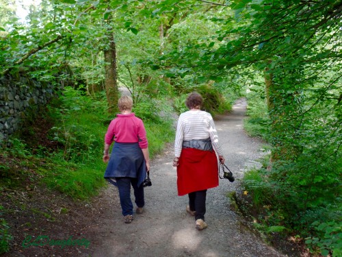 Walking a path in the Lake District of England