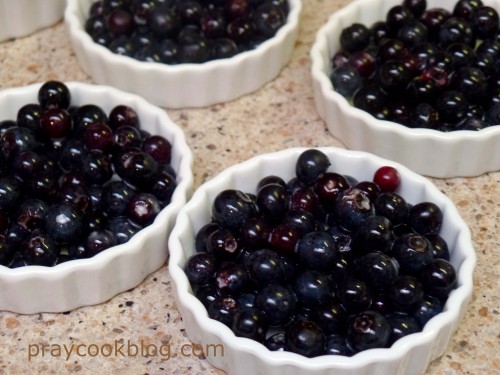 fresh blueberries in tart dish