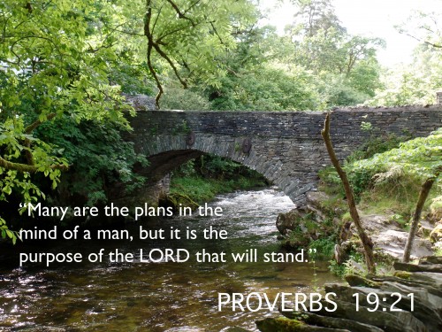 Proverbs 19-21