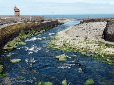 Coastline Moor National Park