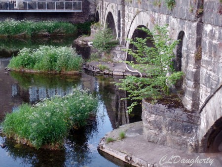 Kendall bridge walk