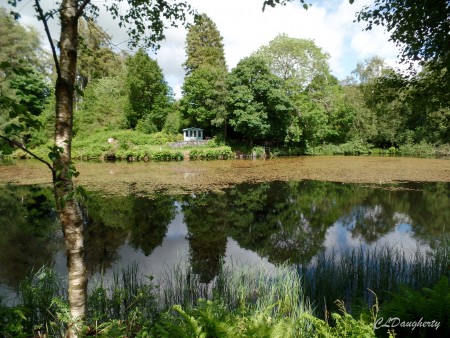 Serene Pond Reflection