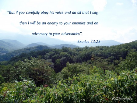 exodus 23-22