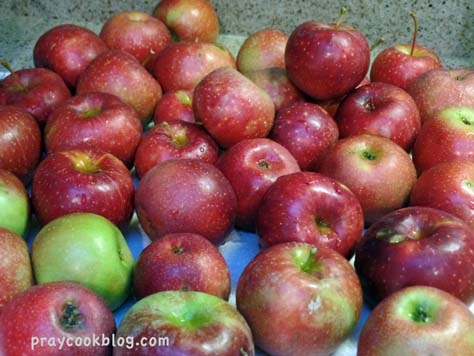 Red Rome Apples