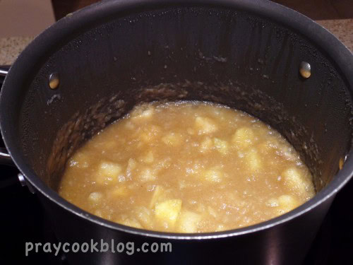 Homemade Chunky Applesauce