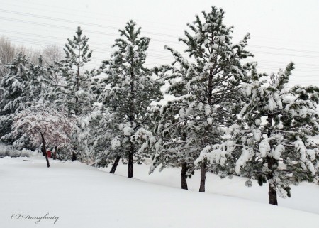 SLC Snowstorm Dec 2015