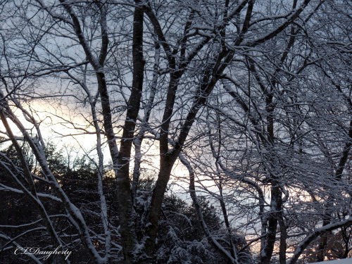 Blue Sky After The Storm