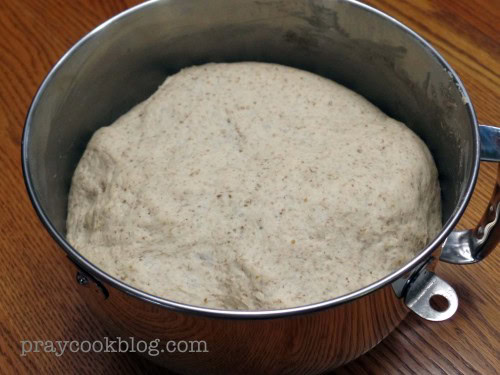 Rye and Whole Wheat Bread Rising