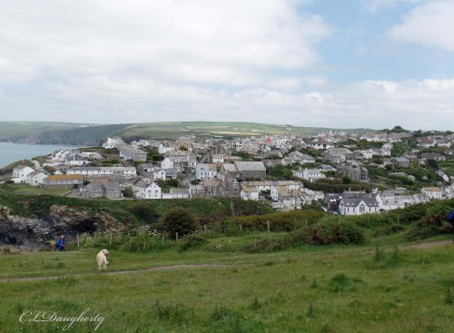 Port Isaac from the grass above the city