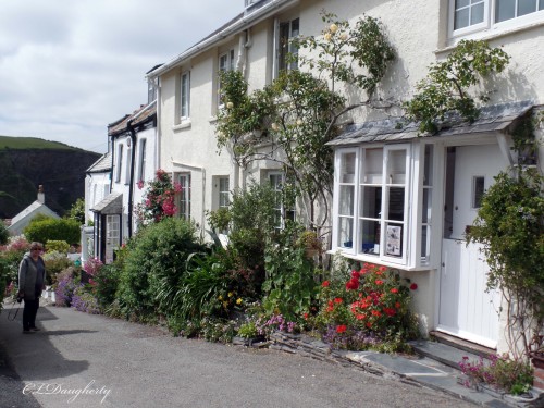 {Port Isaac side street