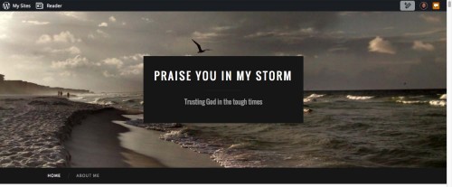 praise you in my storm logo