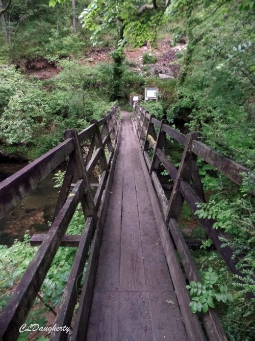 Bridge solitude