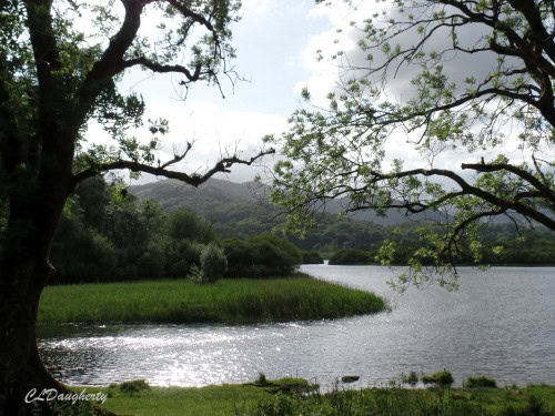 Solitary Walk in the Lake District of England