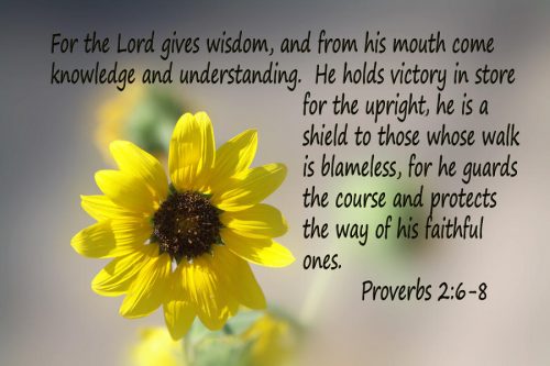 scripture-sunflower-ps-2-v-6-8-linda-phelps