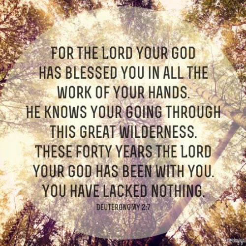 bible-verse-deuteronomy-27-for-the-lord-your-god-has-blessed-you-in-all-the-works-of-your-hands-2014