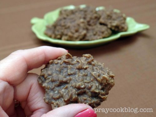 no bake cookie single