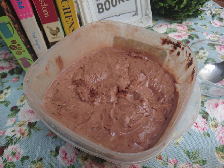 double chocolate ice cream recipe 13